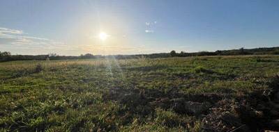 Terrain à Labourgade en Tarn-et-Garonne (82) de 2158 m² à vendre au prix de 39500€ - 4