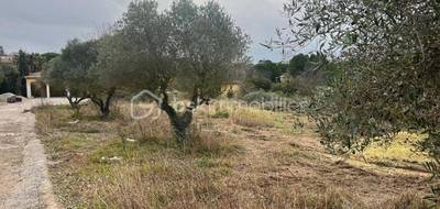 Terrain à Béziers en Hérault (34) de 477 m² à vendre au prix de 159450€ - 3