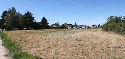 Terrain à Pleumartin en Vienne (86) de 3553 m² à vendre au prix de 21000€ - 3