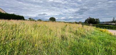 Terrain à Saint-André-le-Désert en Saône-et-Loire (71) de 1014 m² à vendre au prix de 25000€ - 3