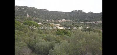 Terrain à Figari en Corse-du-Sud (2A) de 1460 m² à vendre au prix de 185500€ - 2