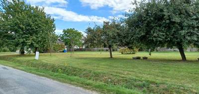 Terrain à Saint-Dolay en Morbihan (56) de 939 m² à vendre au prix de 66800€ - 2