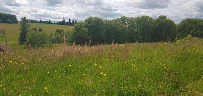 Terrain à Le Val-d'Ajol en Vosges (88) de 1672 m² à vendre au prix de 32000€ - 1