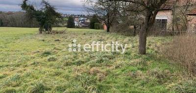 Terrain à Merkwiller-Pechelbronn en Bas-Rhin (67) de 1915 m² à vendre au prix de 171000€ - 4