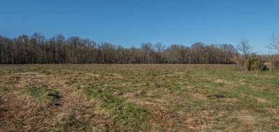 Terrain à Dampierre-en-Burly en Loiret (45) de 1369 m² à vendre au prix de 44000€ - 4