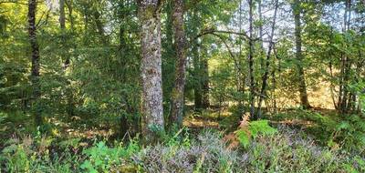 Terrain à Oradour-sur-Glane en Haute-Vienne (87) de 1245 m² à vendre au prix de 32000€ - 4