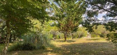 Terrain à Sallebœuf en Gironde (33) de 1900 m² à vendre au prix de 150000€ - 3