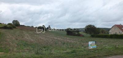 Terrain à Pourrain en Yonne (89) de 1409 m² à vendre au prix de 31000€ - 3