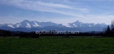 Terrain à Lécussan en Haute-Garonne (31) de 4898 m² à vendre au prix de 68000€ - 1