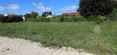 Terrain à La Brée-les-Bains en Charente-Maritime (17) de 336 m² à vendre au prix de 155470€ - 4