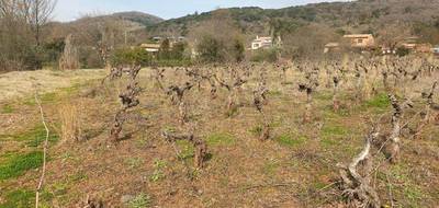 Terrain à Octon en Hérault (34) de 1959 m² à vendre au prix de 241500€ - 3