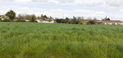 Terrain à Pleumartin en Vienne (86) de 1590 m² à vendre au prix de 13000€ - 1