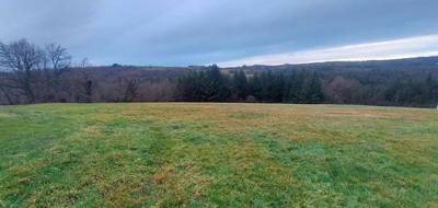 Terrain à Sauviat en Puy-de-Dôme (63) de 14000 m² à vendre au prix de 60000€ - 3