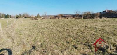 Terrain à Harréville-les-Chanteurs en Haute-Marne (52) de 986 m² à vendre au prix de 12000€ - 1