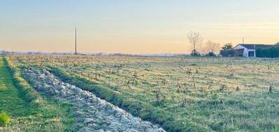 Terrain à Saint-Sixte en Lot-et-Garonne (47) de 9000 m² à vendre au prix de 88800€ - 3