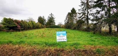 Terrain à Tréal en Morbihan (56) de 1966 m² à vendre au prix de 31900€ - 1