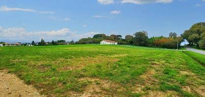 Terrain à Sainte-Colombe en Landes (40) de 2200 m² à vendre au prix de 35000€ - 4