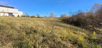 Terrain à Sarreguemines en Moselle (57) de 933 m² à vendre au prix de 98500€ - 3