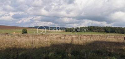 Terrain à Vaux d'Amognes en Nièvre (58) de 3000 m² à vendre au prix de 35000€ - 1