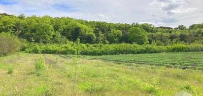 Terrain à Saint-Montan en Ardèche (07) de 3700 m² à vendre au prix de 142500€ - 1