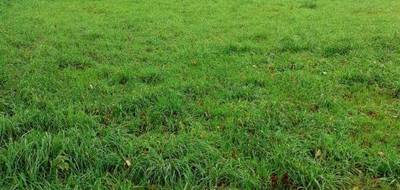 Terrain à Landéan en Ille-et-Vilaine (35) de 2200 m² à vendre au prix de 47822€ - 1