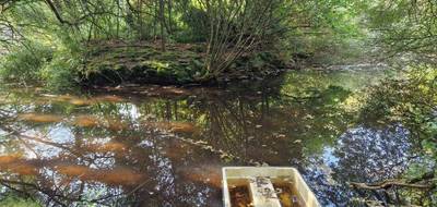 Terrain à Saint-Thois en Finistère (29) de 19093 m² à vendre au prix de 20900€ - 2