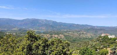 Terrain à Poggio-d'Oletta en Haute-Corse (2B) de 2418 m² à vendre au prix de 149000€ - 1