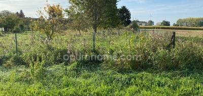 Terrain à La Neuville-Bosmont en Aisne (02) de 1165 m² à vendre au prix de 23000€ - 3