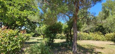 Terrain à Murles en Hérault (34) de 967 m² à vendre au prix de 252000€ - 4