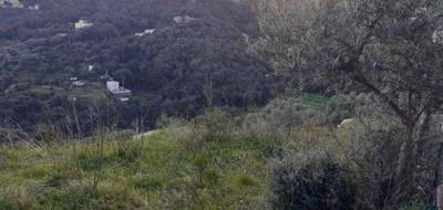 Terrain à Bastia en Haute-Corse (2B) de 795 m² à vendre au prix de 315000€ - 2