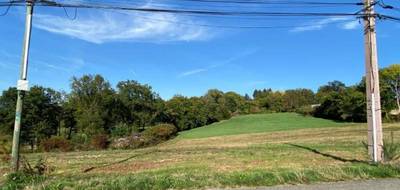 Terrain à Sainte-Féréole en Corrèze (19) de 1553 m² à vendre au prix de 40000€ - 3