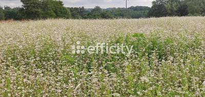 Terrain à Seilhac en Corrèze (19) de 2176 m² à vendre au prix de 35900€ - 1