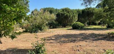 Terrain à Montaigut-sur-Save en Haute-Garonne (31) de 761 m² à vendre au prix de 120000€ - 1