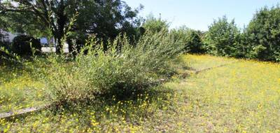 Terrain à Lanvallay en Côtes-d'Armor (22) de 1008 m² à vendre au prix de 110000€ - 2