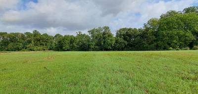 Terrain à Vatry en Marne (51) de 1962 m² à vendre au prix de 45000€ - 1