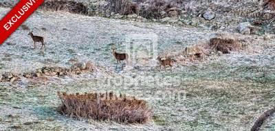 Terrain à Font-Romeu-Odeillo-Via en Pyrénées-Orientales (66) de 1107 m² à vendre au prix de 195000€ - 2