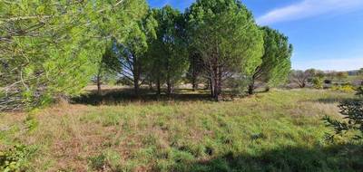 Terrain à Pouzolles en Hérault (34) de 6370 m² à vendre au prix de 19500€ - 1