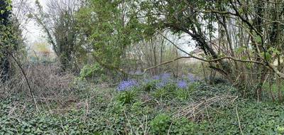 Terrain à Ableiges en Val-d'Oise (95) de 275 m² à vendre au prix de 115000€ - 1