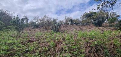 Terrain à Crozon en Finistère (29) de 532 m² à vendre au prix de 4596€ - 2