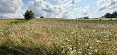 Terrain à Corgnac-sur-l'Isle en Dordogne (24) de 2900 m² à vendre au prix de 19000€ - 1