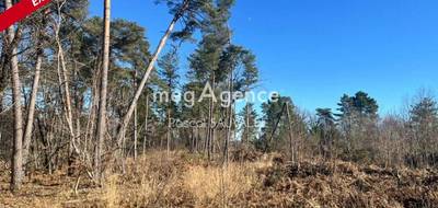 Terrain à Chancelade en Dordogne (24) de 17000 m² à vendre au prix de 69800€ - 2