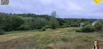 Terrain à Noailles en Corrèze (19) de 3000 m² à vendre au prix de 39990€ - 4