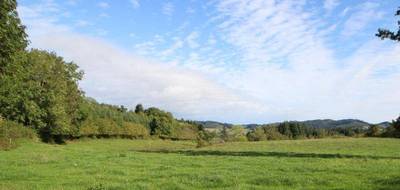 Terrain à La Clayette en Saône-et-Loire (71) de 2962 m² à vendre au prix de 22000€ - 1