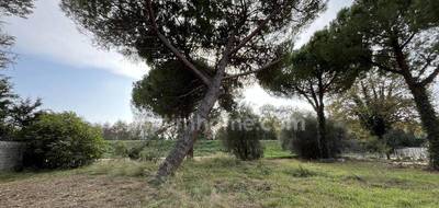 Terrain à Florensac en Hérault (34) de 600 m² à vendre au prix de 129000€ - 3