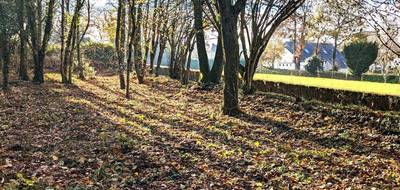 Terrain à Poullaouen en Finistère (29) de 1030 m² à vendre au prix de 19000€ - 2