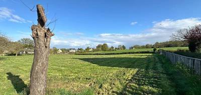 Terrain à Rieux en Morbihan (56) de 1400 m² à vendre au prix de 47000€ - 3