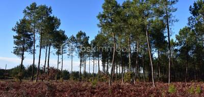 Terrain à Linxe en Landes (40) de 0 m² à vendre au prix de 144256€ - 2