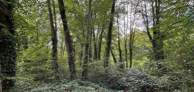 Terrain à Lamorlaye en Oise (60) de 3975 m² à vendre au prix de 630000€ - 3