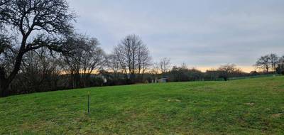 Terrain à Champagné en Sarthe (72) de 1947 m² à vendre au prix de 95800€ - 1