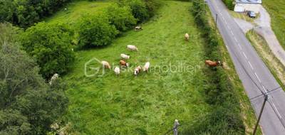 Terrain à Esquiule en Pyrénées-Atlantiques (64) de 13255 m² à vendre au prix de 110000€ - 4